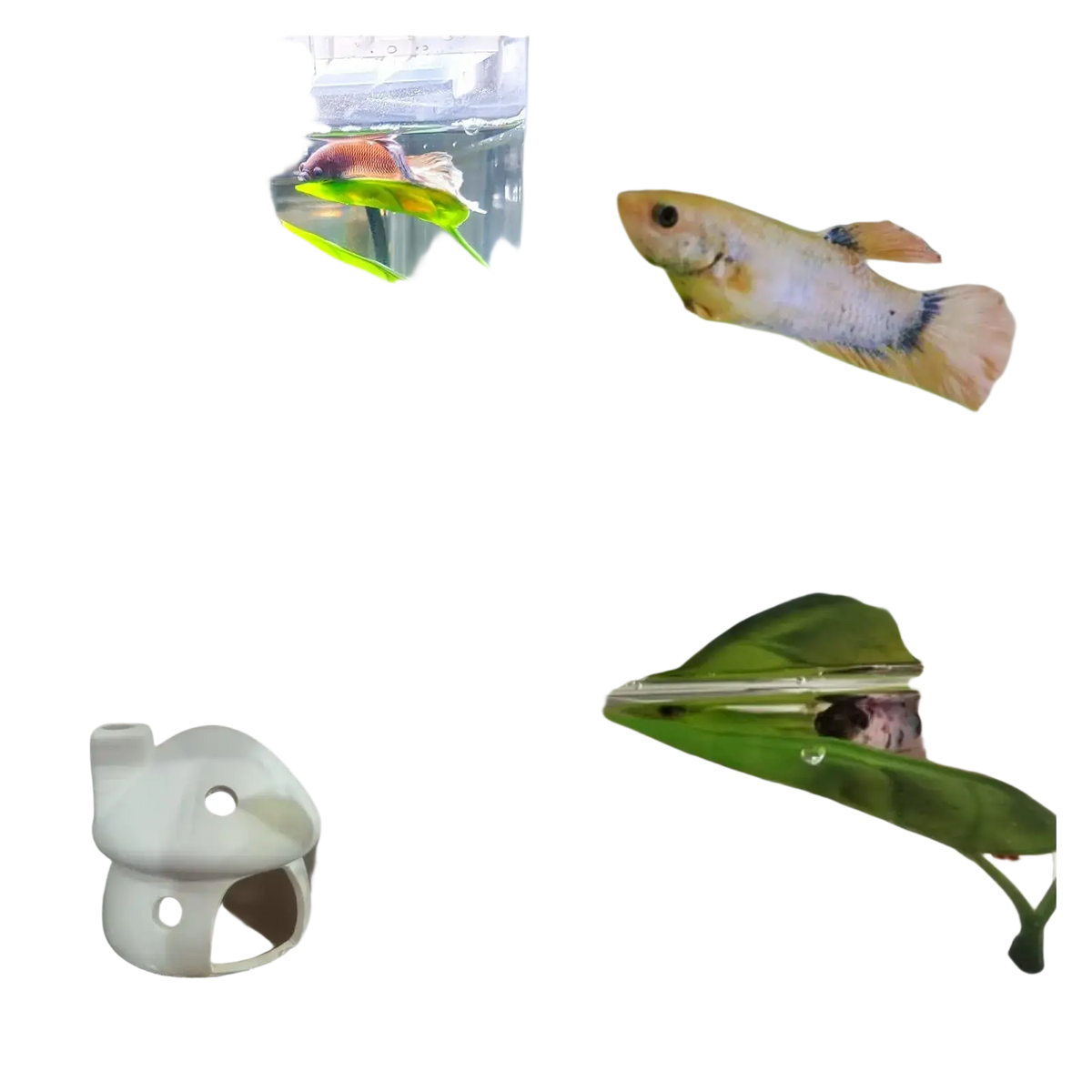 White ceramic mushroom-shaped aquarium hideout for betta fish leaf hammock artificial aquarium plant use