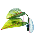 Green betta leaf hammock aquarium plant with realistic leaf texture and a clear suction cup base for fish tank use