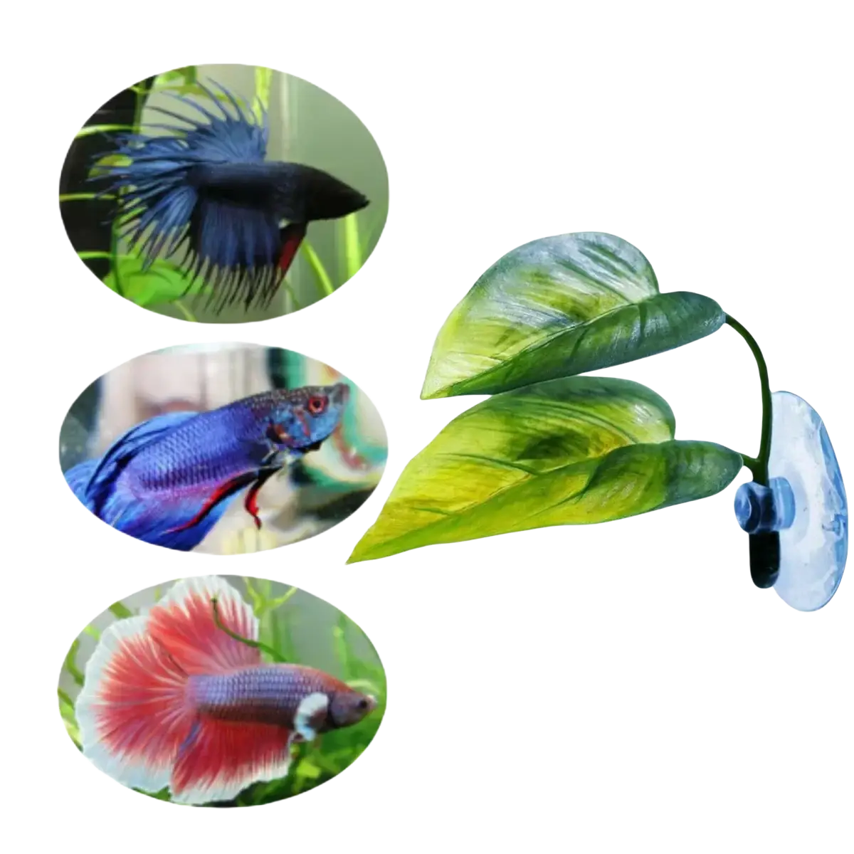 Green artificial betta leaf hammock aquarium plant with suction cup attachment for fish tank decoration