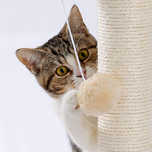 Un chat tigré aux yeux verts saisit avec malice un jouet de couleur crème attaché à un griffoir pour chat en corde de sisal et à une piste à balles.