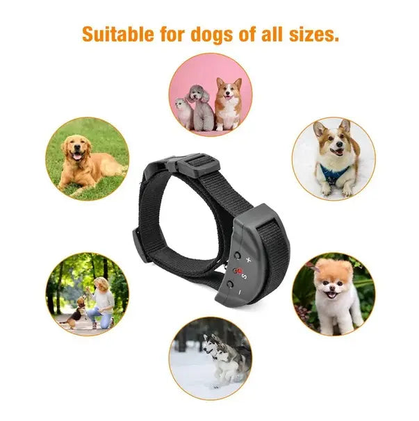 black anti bark dog shock collar with adjustable strap and control panel featuring buttons for sound and vibration settings