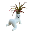 Big booty ghost planter resin white ghost planter with surprised expression holding green and reddish air plant