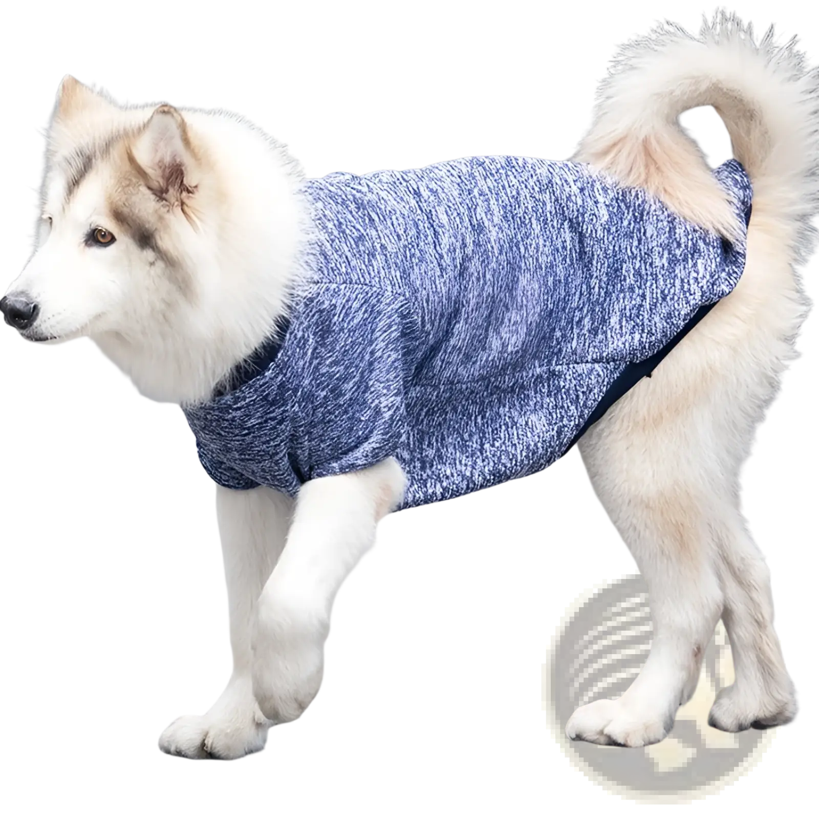 Blue heathered big dog acrylic warm sweater with black trim designed for cozy winter pet apparel