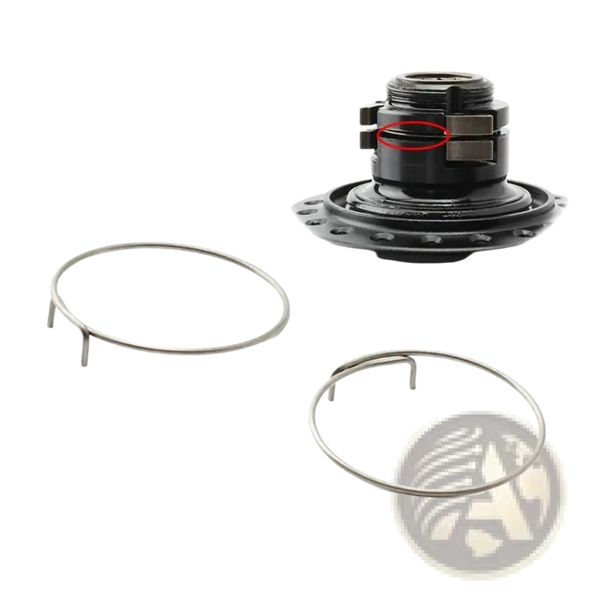Black bicycle hub spring pawl repair kit showing back side with two silver metal retaining rings for bike maintenance