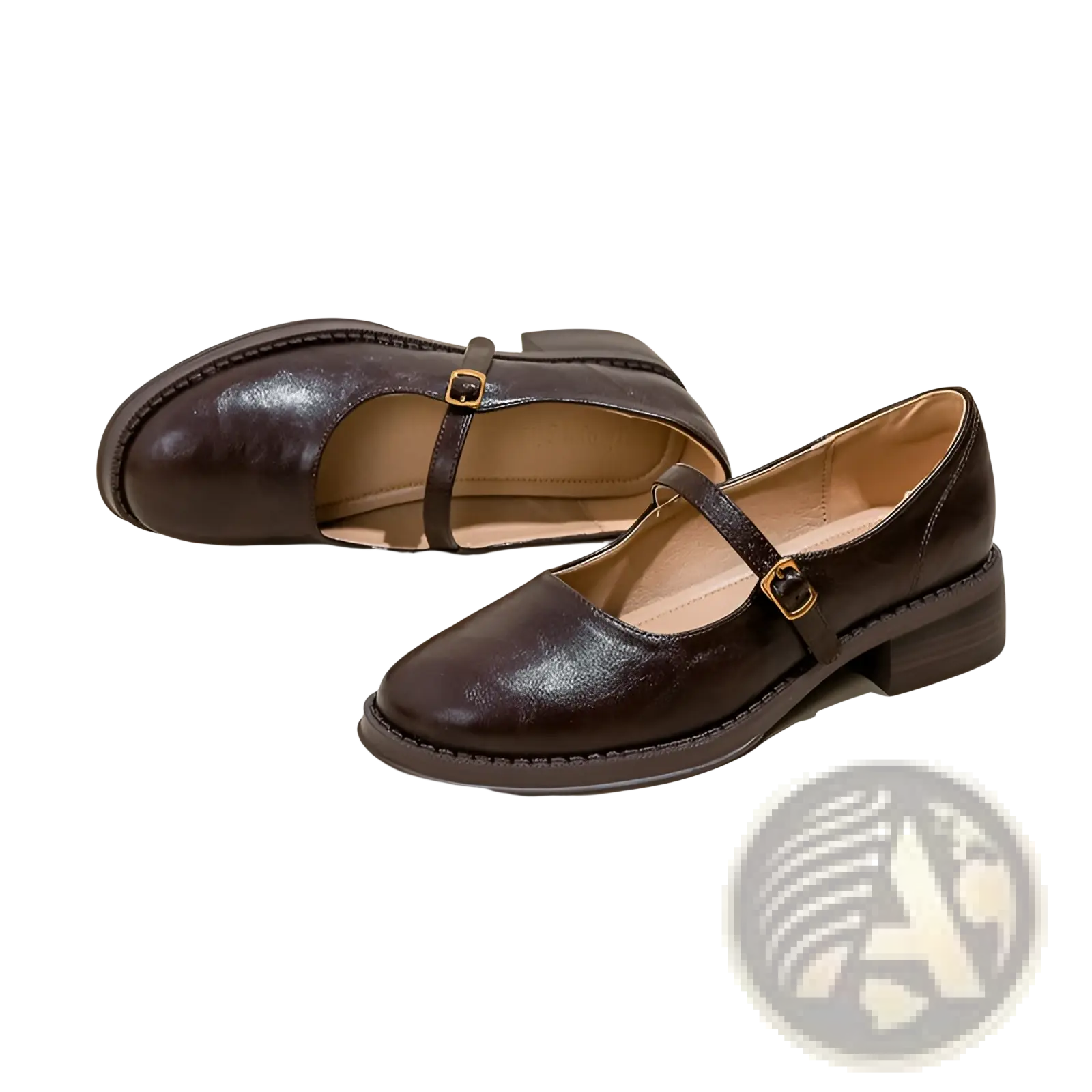 Dark brown leather mary jane flats with low block heel and gold-tone buckle strap for stylish wear