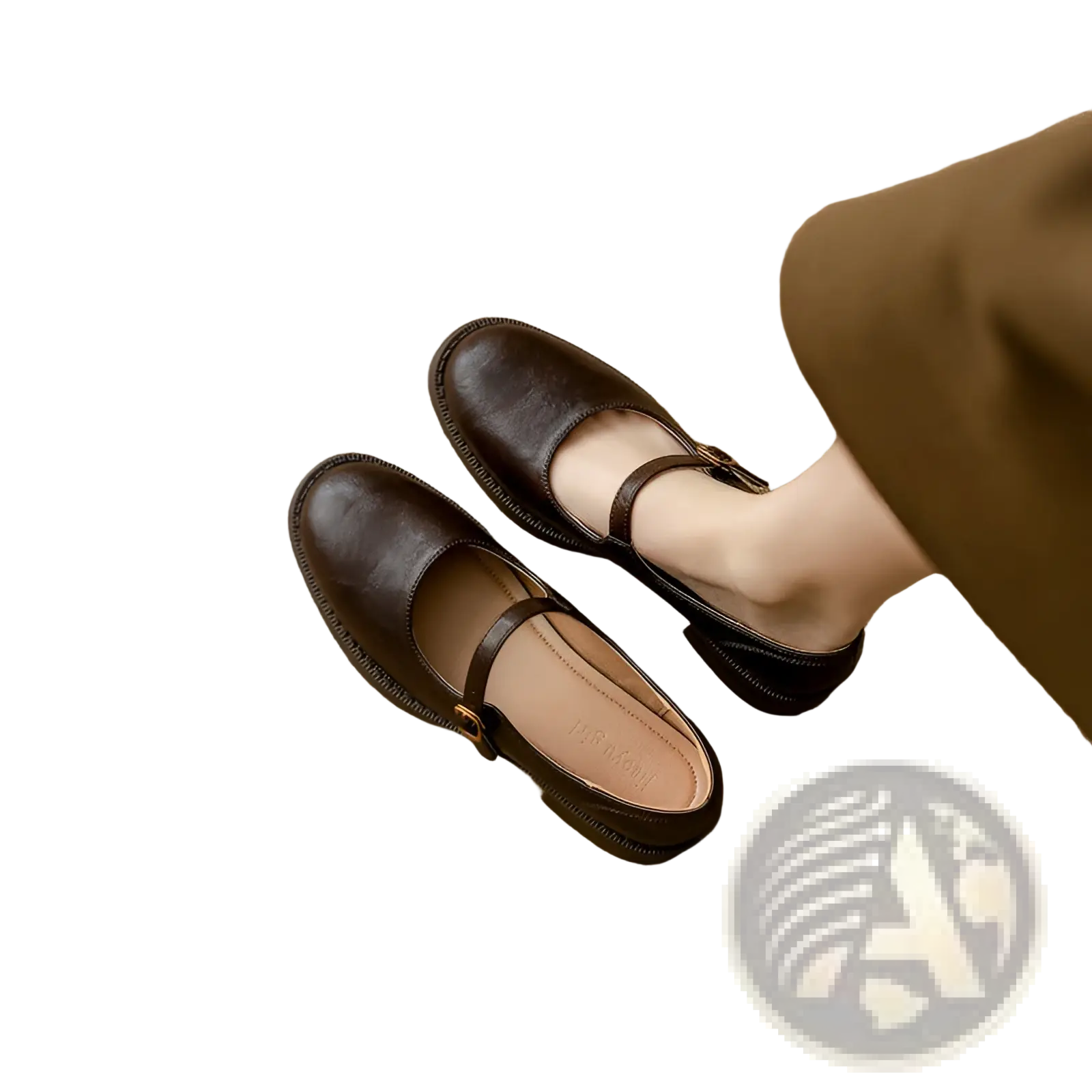 Dark brown leather mary jane flats with single strap and gold buckle contrasting black leather mary jane block heel shoes