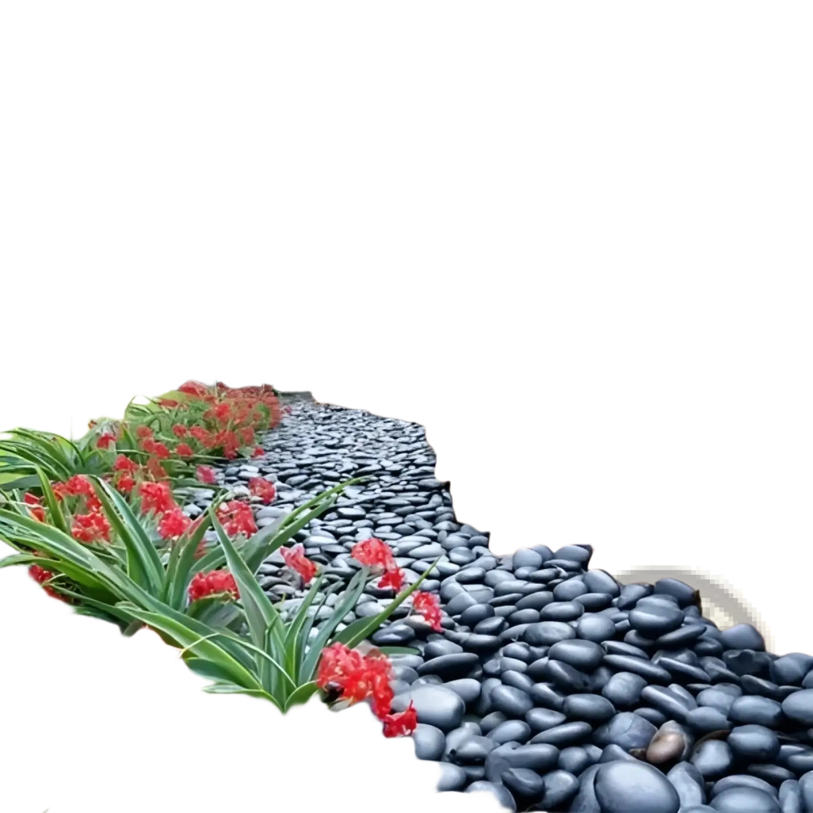 A sleek glossy black river rock pebble pathway with polished 2-3 inch stones and vibrant red flowers lining it