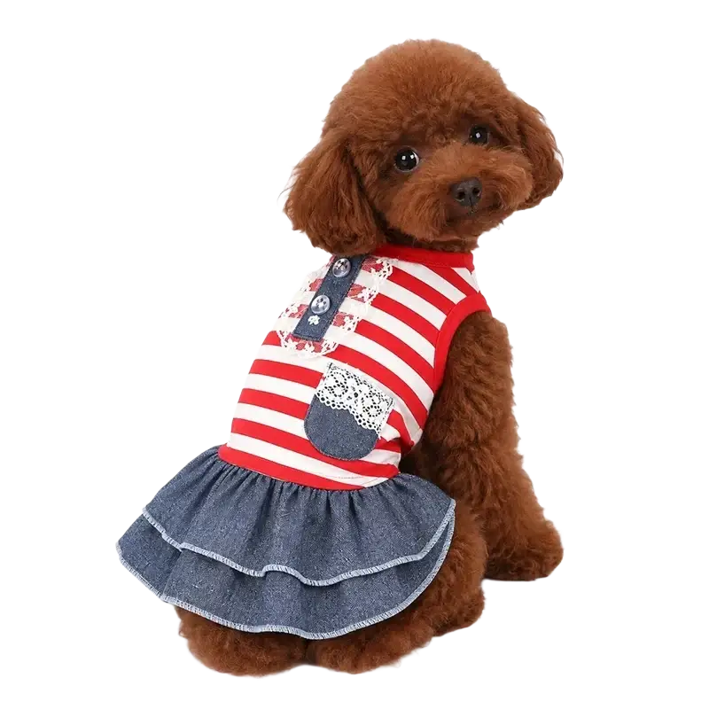 Red and white striped dog dress with denim skirt and lace details combining style and comfort for pets