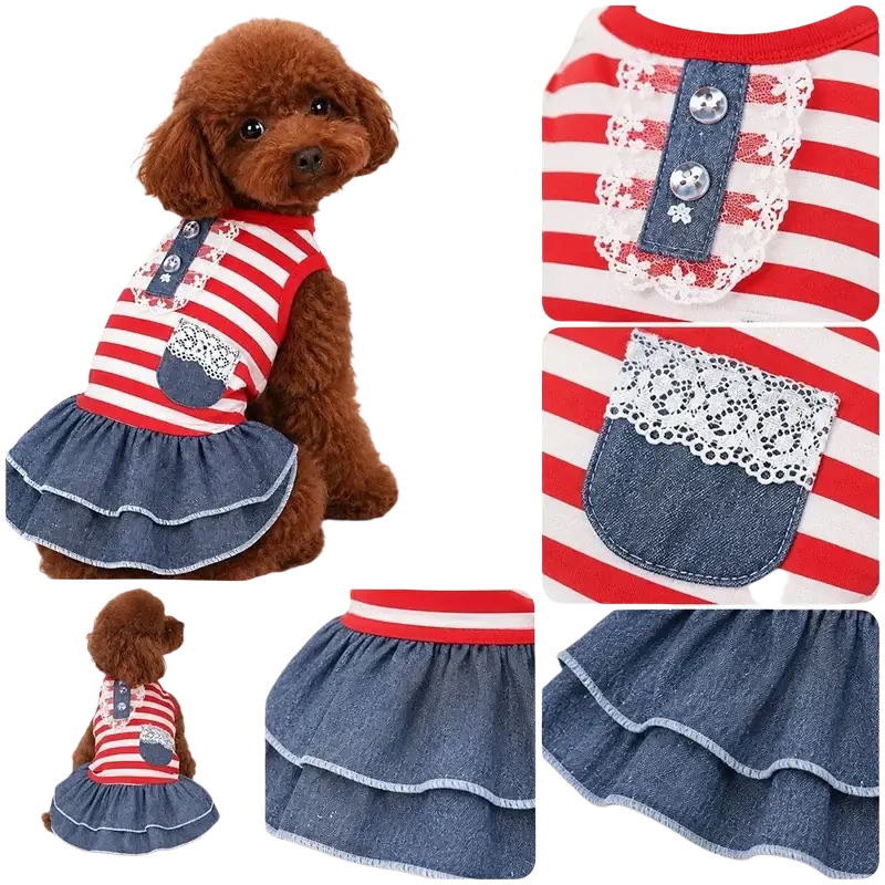 Red and white striped denim dog dress with lace trim button details and ruffled skirt designed for small dogs
