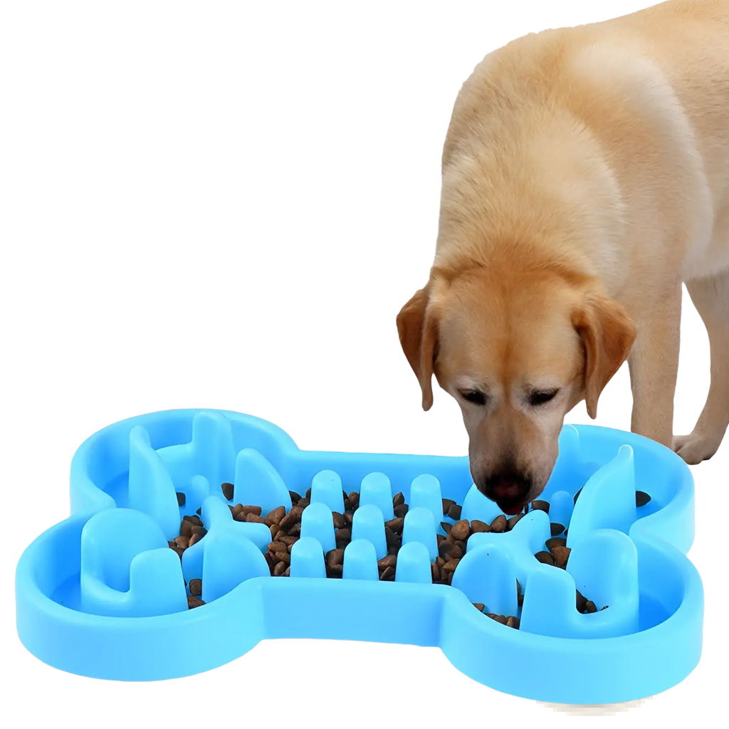 Blue bone-shaped slow feeder dog bowl made of silicone designed to promote slower eating and improve digestion