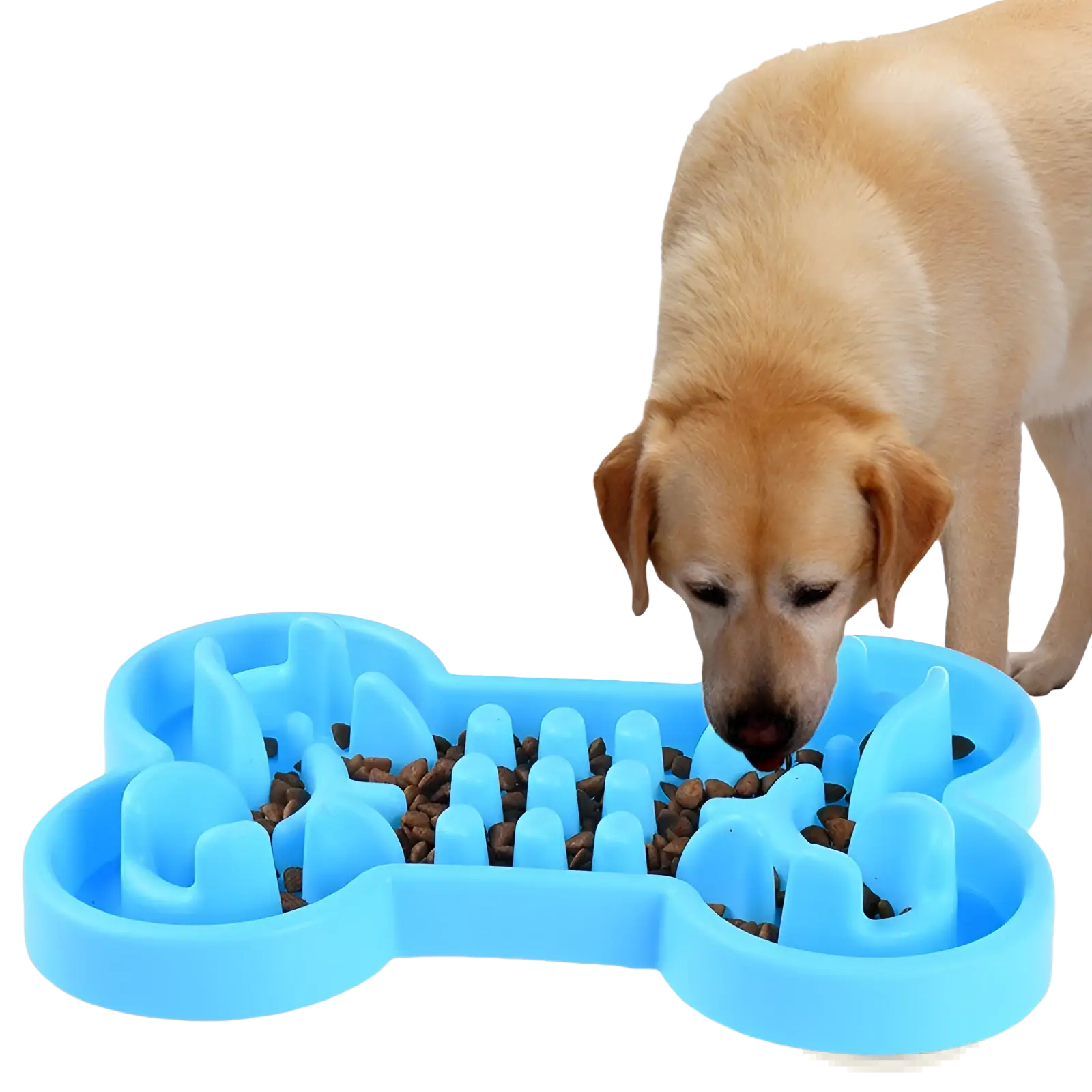 Blue bone-shaped slow feeder dog bowl made of silicone designed to promote slower eating and improve digestion