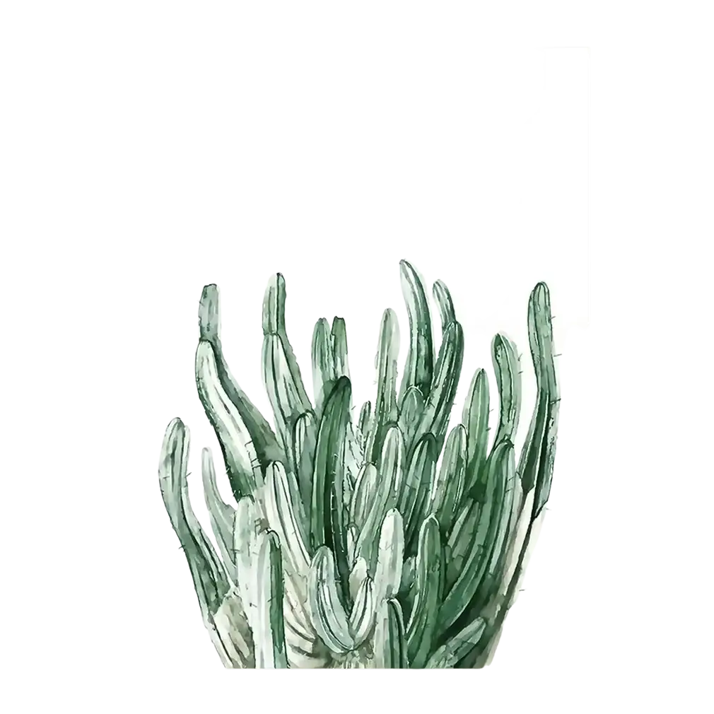 A botanical canvas print featuring a green cactus watercolor painting on white canvas for wall art decor