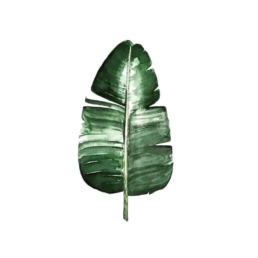 Botanical canvas print featuring green watercolor banana leaf on white material for wall art decoration