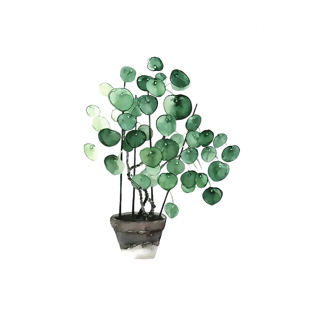 Botanical canvas print featuring watercolor painting of a potted plant with round green leaves in dark brown pot