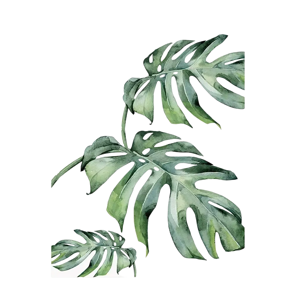 Watercolor painting of green monstera leaves on a white canvas botanical canvas print for wall art decor