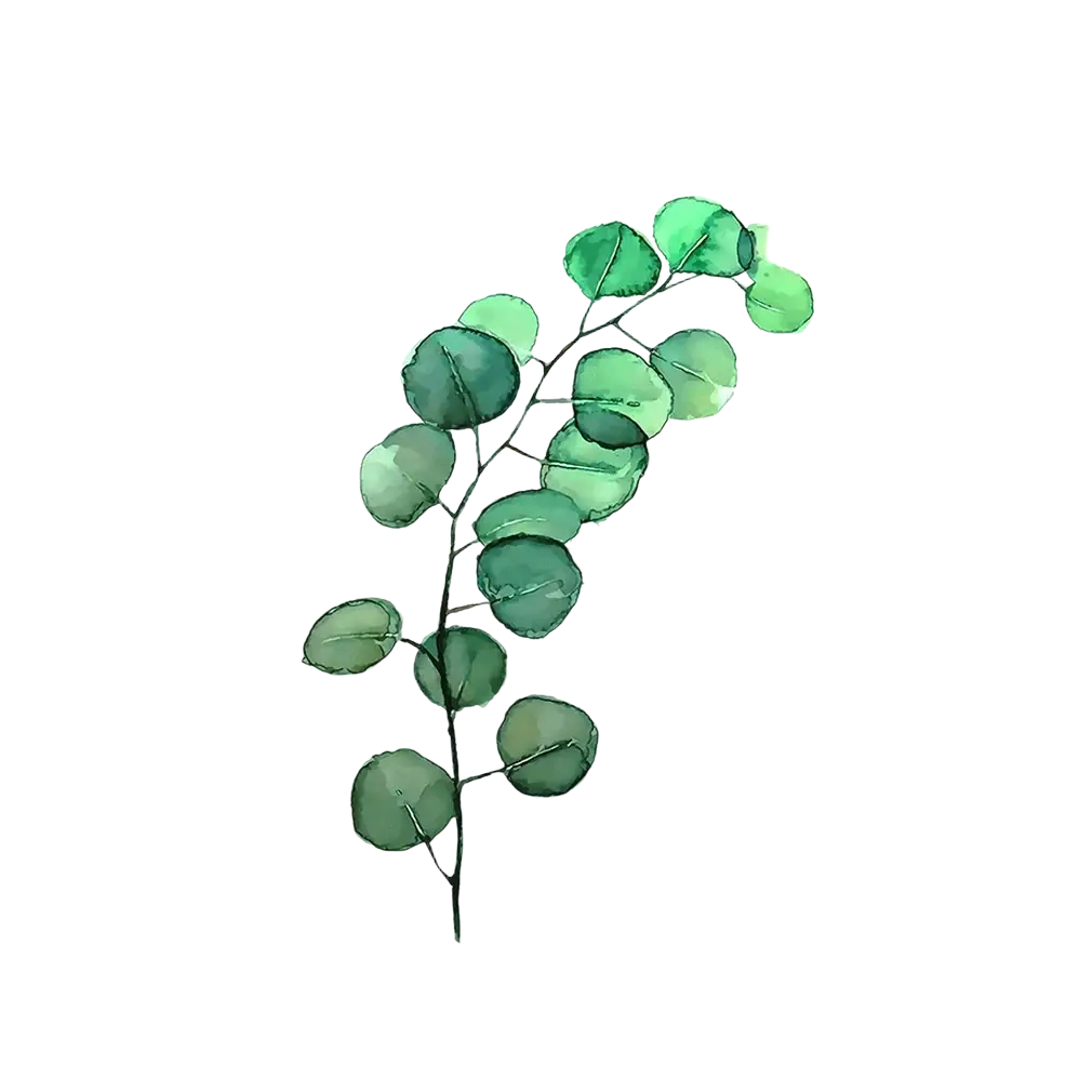Botanical canvas print featuring a watercolor eucalyptus branch with round green leaves on white canvas wall art