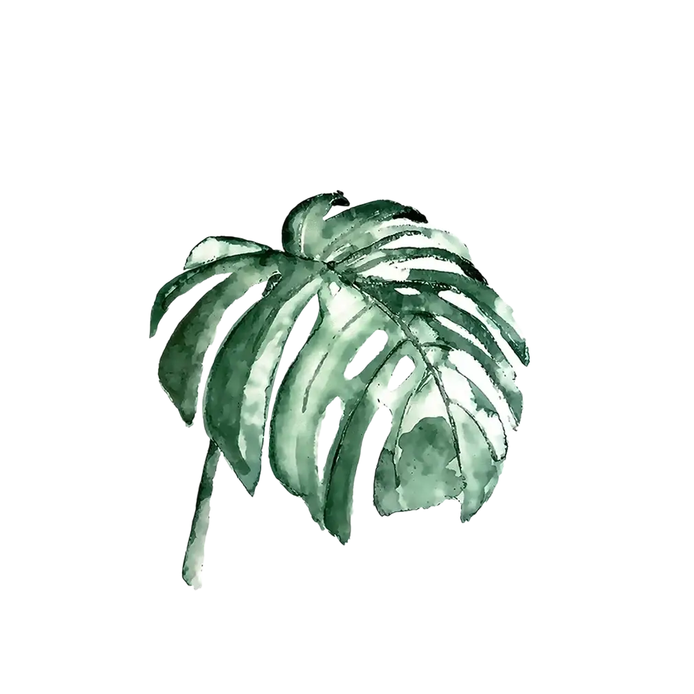 Watercolor painting of a green monstera leaf on white canvas botanical canvas prints green leaves wall art