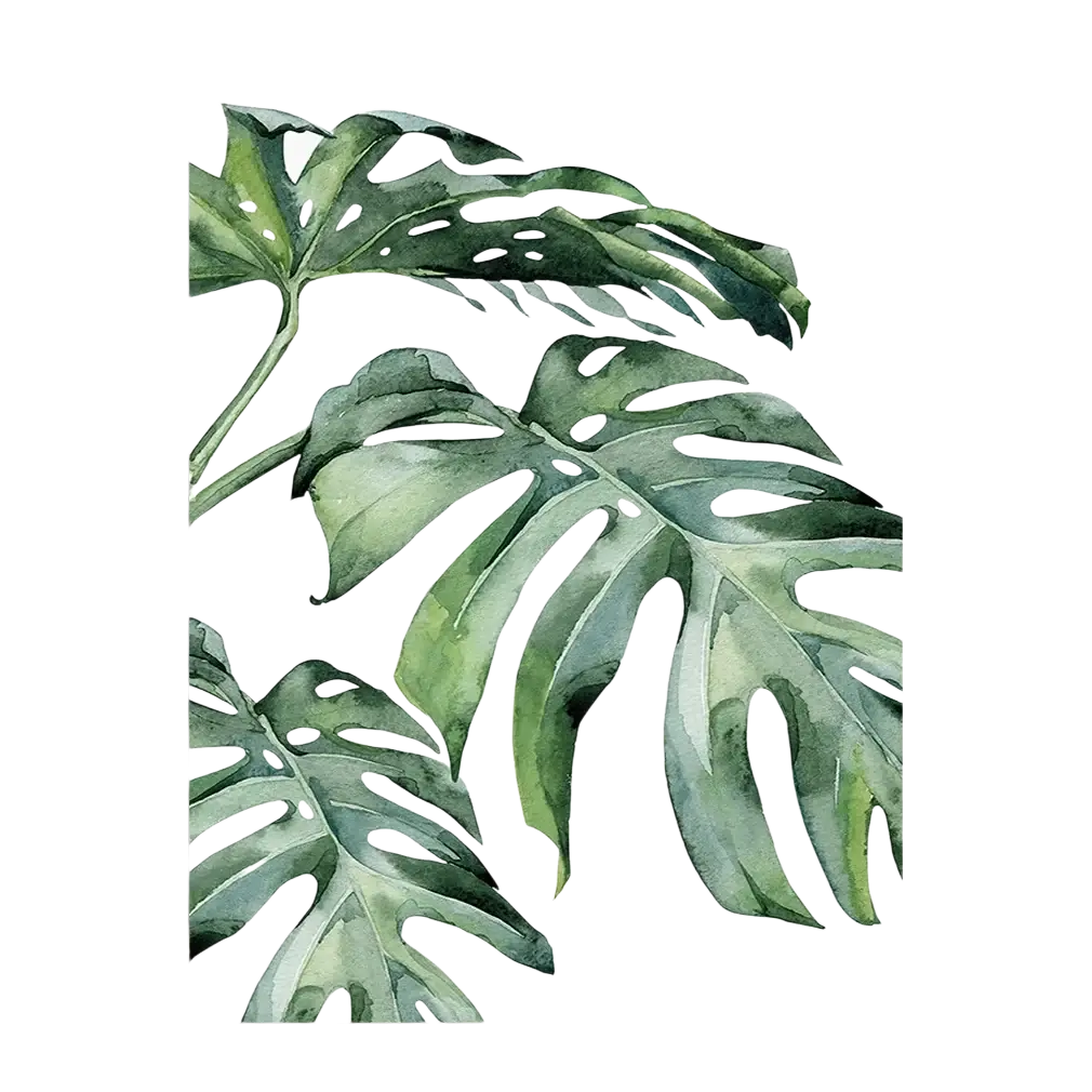 Watercolor painting of green monstera leaves on white canvas botanical canvas print for leaf wall art decor