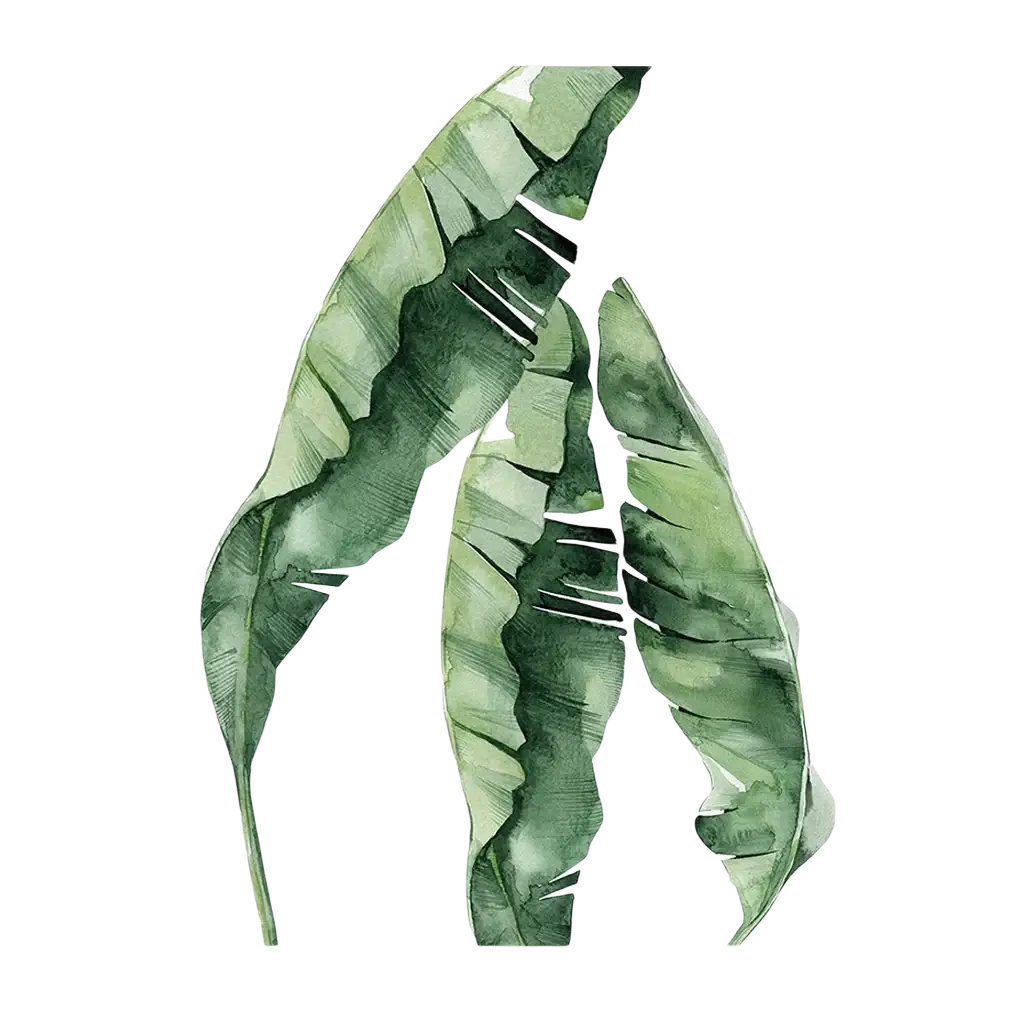 Botanical canvas print featuring three overlapping green banana leaves in watercolor style on white background wall art