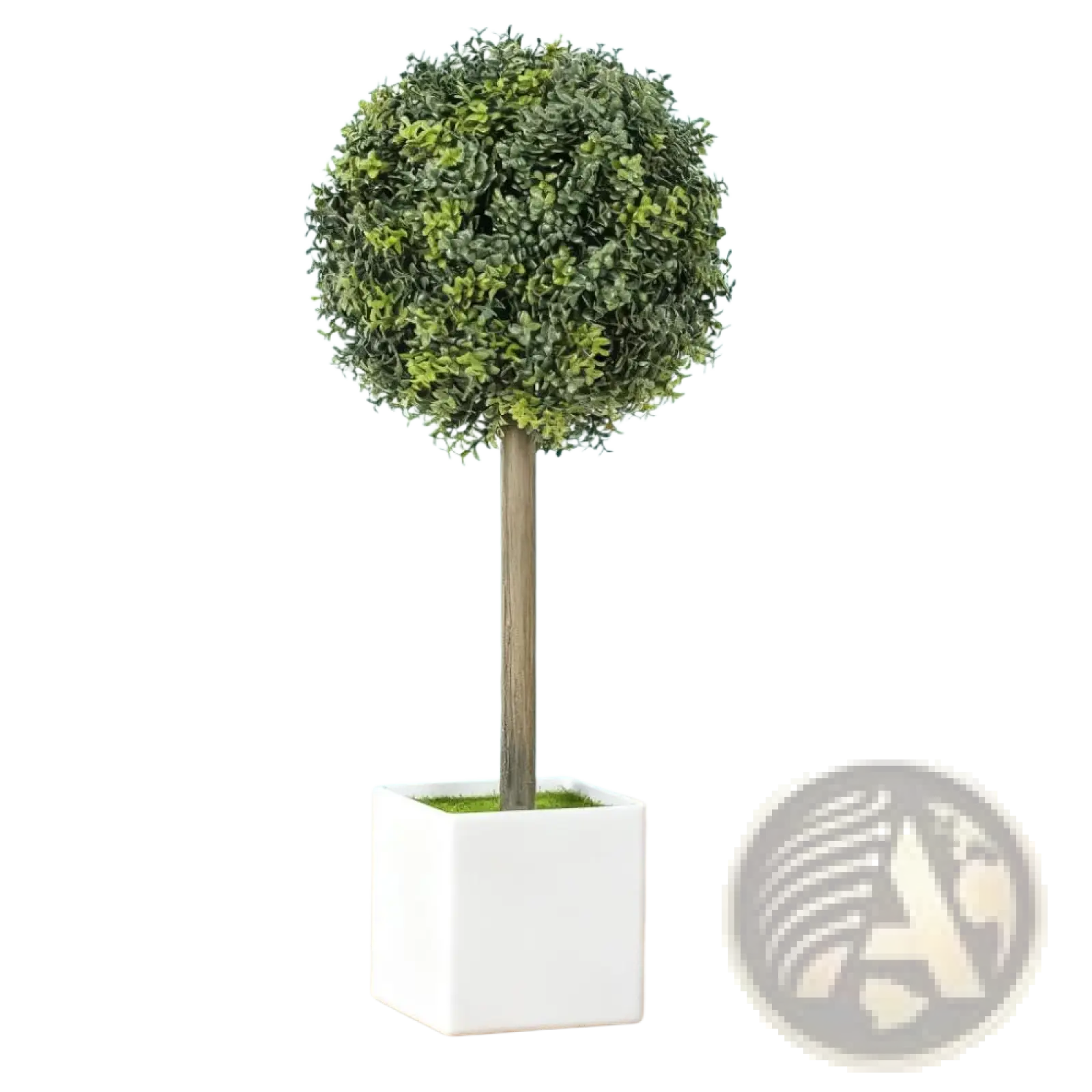 A faux boxwood topiary ball with dense green foliage and slender brown trunk in a white square pot
