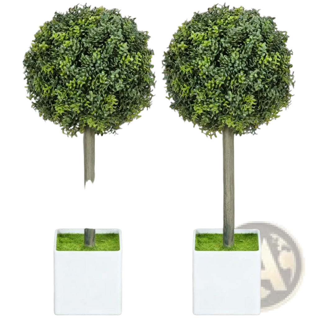 Two identical boxwood topiary balls with dark green foliage on slender gray trunks in white square pots set of 2