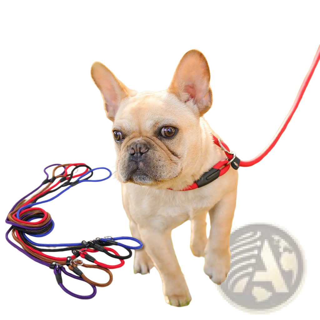 Red braided nylon dog leash with black plastic hardware suitable for small and large pets