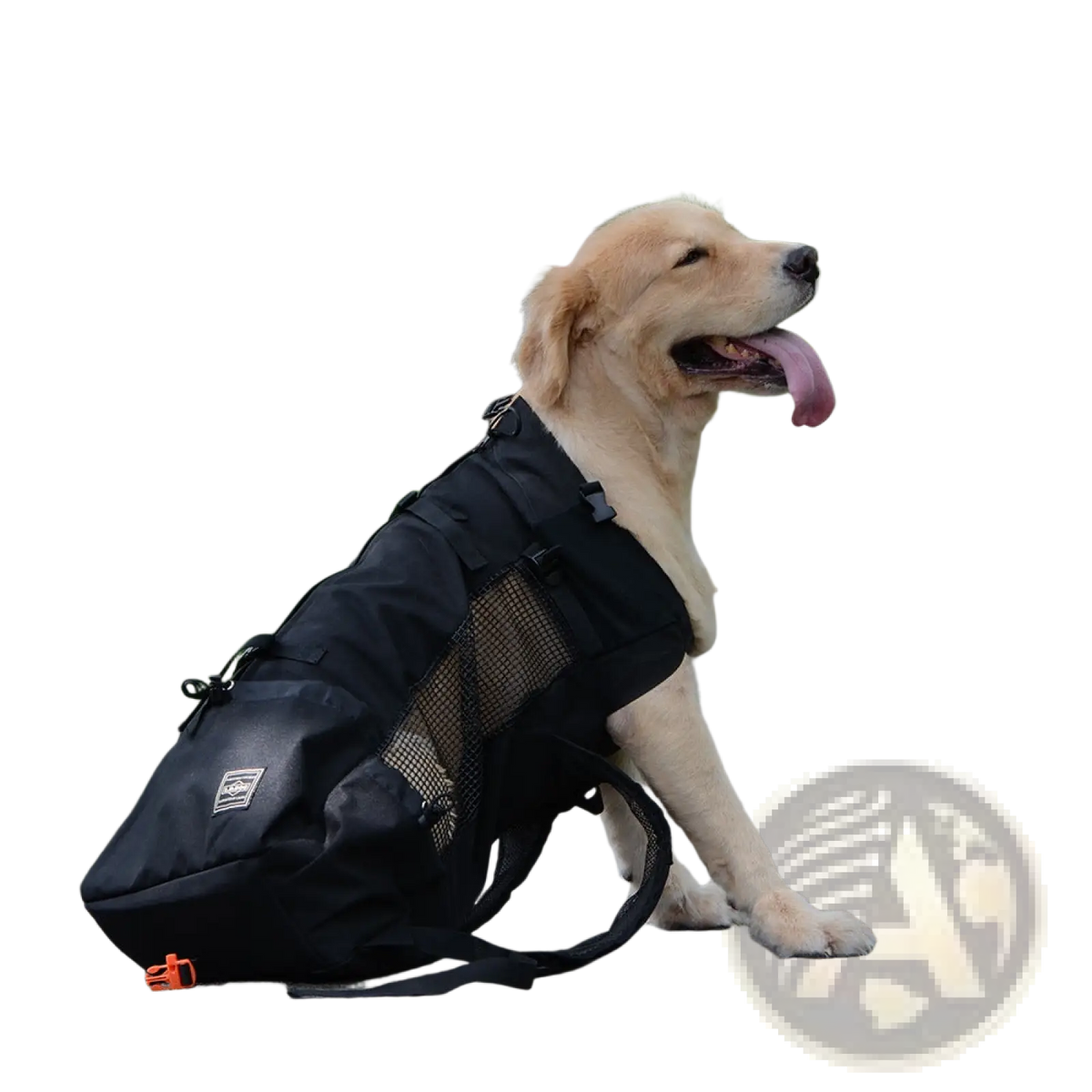 Black mesh and nylon breathable dog backpack with orange buckle detail for pet carrier in gray