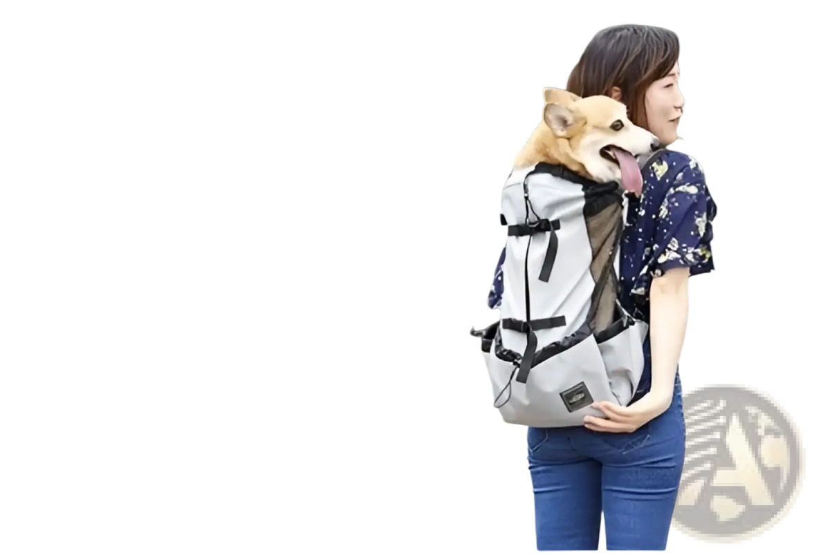 Breathable gray and black pet carrier backpack with mesh side panels designed for comfortable dog transport