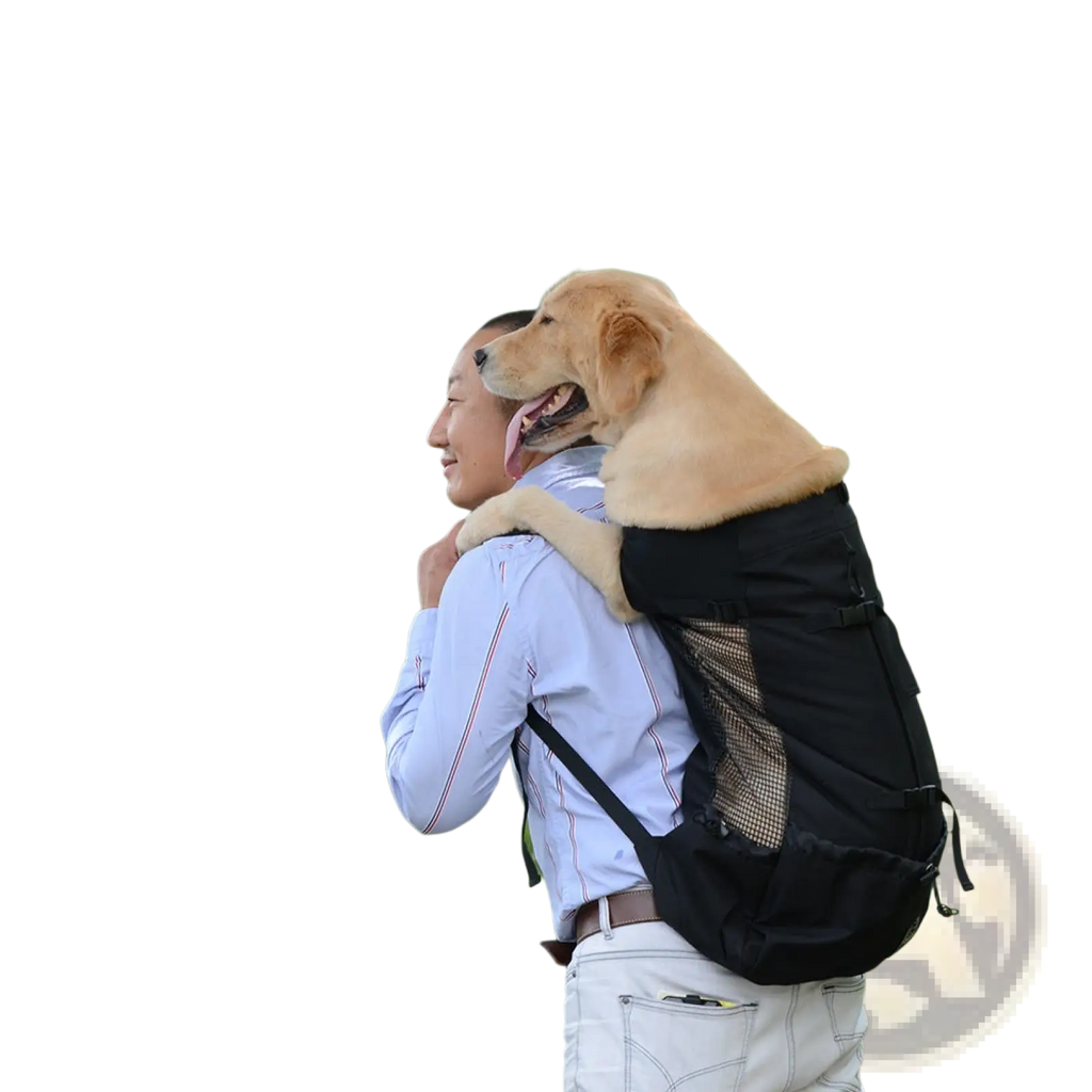 Black dog carrier backpack with breathable mesh side panel and adjustable straps carrying a golden retriever on its back