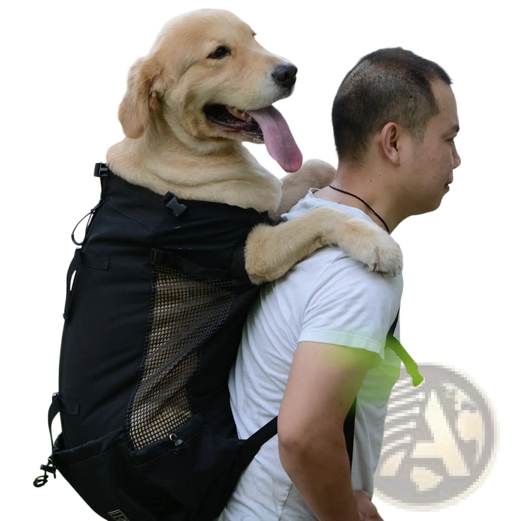 Black breathable dog backpack with mesh side panel and padded shoulder straps shown from the back side