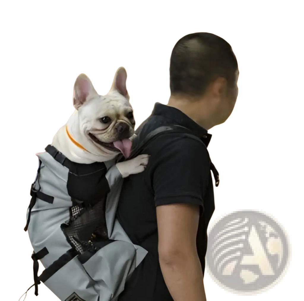 Gray breathable dog backpack mesh pet carrier with black straps and mesh panels shown from the back side