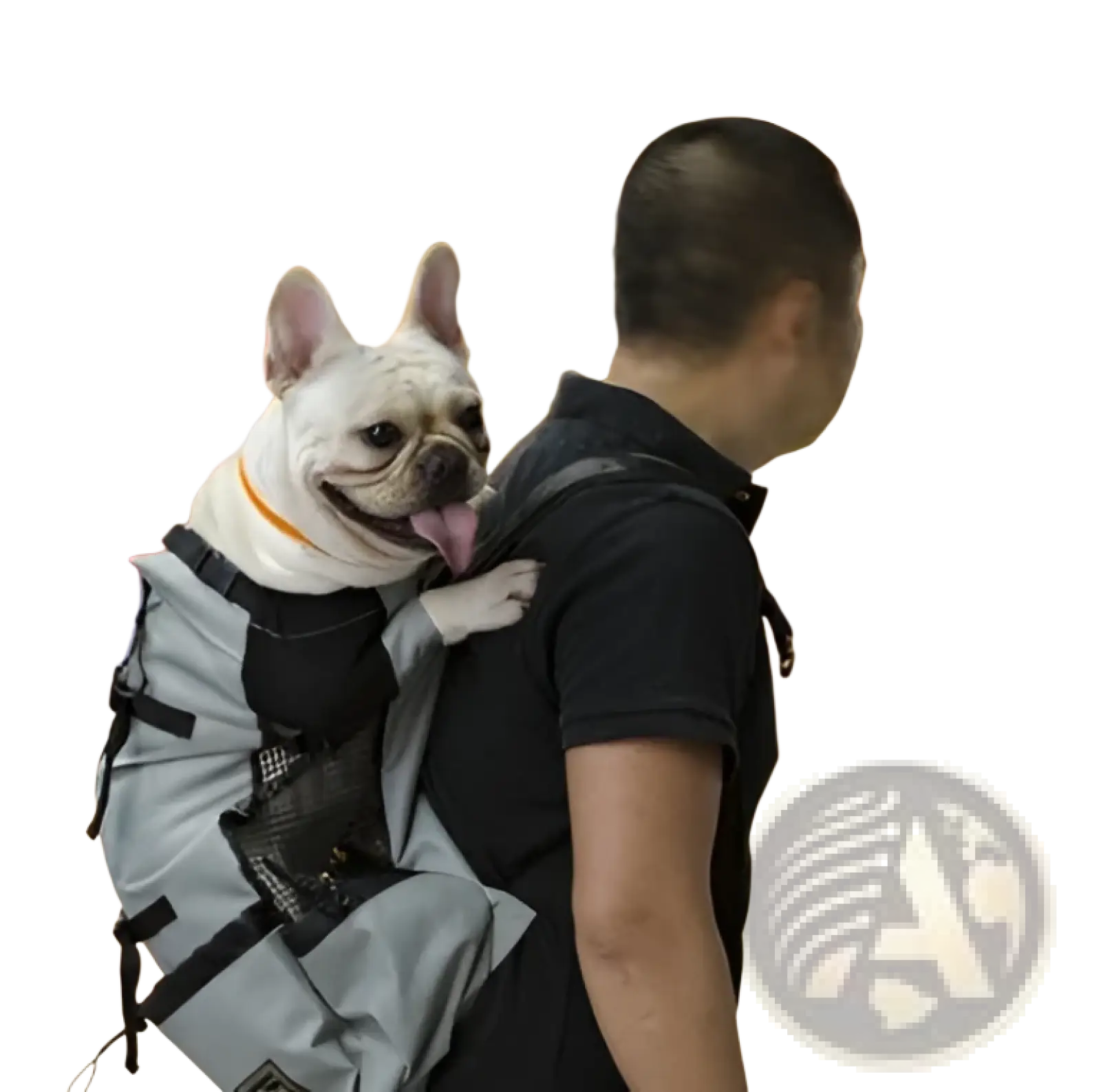 Gray breathable dog backpack mesh pet carrier with black straps and mesh panels shown from the back side