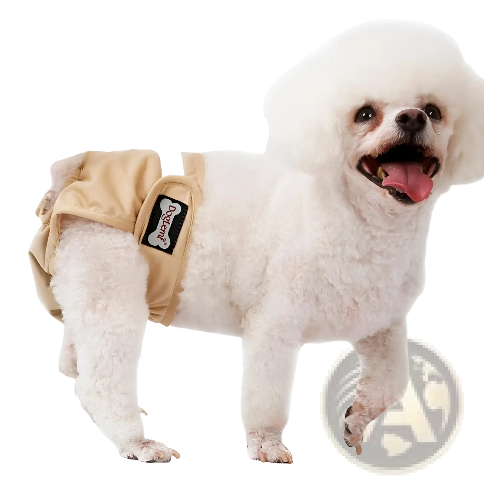 Beige doggenet breathable female dog diaper with black and white bone-shaped logo patch for physiological use