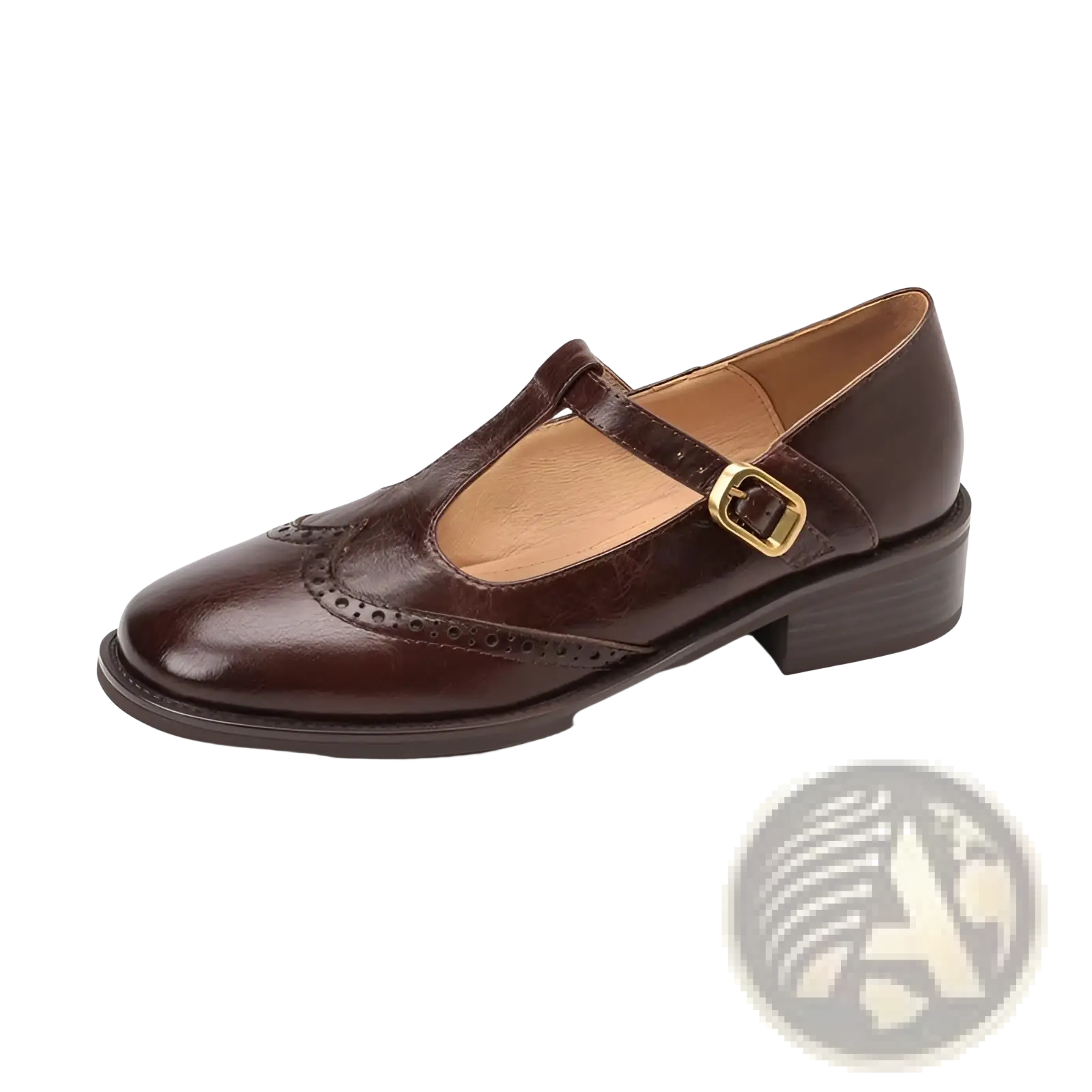 Brown leather brogue mary jane chunky heel pump with t-strap and gold buckle for formal and casual wear