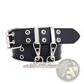 Black leather belt with silver metal hardware eyelets and chain accessory featured in brown leather double breasted waistband for women