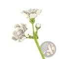 A delicate white building block flower bouquet rose bonsai toy with green stems and buds made from interlocking plastic pieces