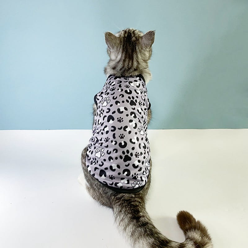 Gato atigrado gris usando un chaleco con estampado de huellas de pata negro y blanco, que muestra el material del chaleco de malla para perro con bandera estadounidense, camiseta para mascota en EE. UU.