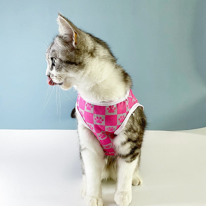 Un gato gris y blanco que lleva un arnés a cuadros rosa y blanco con patrones de huellas de pata, mostrado junto con un chaleco de malla para perro con bandera estadounidense, camiseta para mascota en EE. UU.