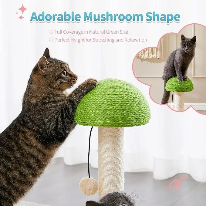 Green mushroom-shaped cat scratching post with a natural sisal-covered cap and beige textured base featuring a ball track for cat entertainment.