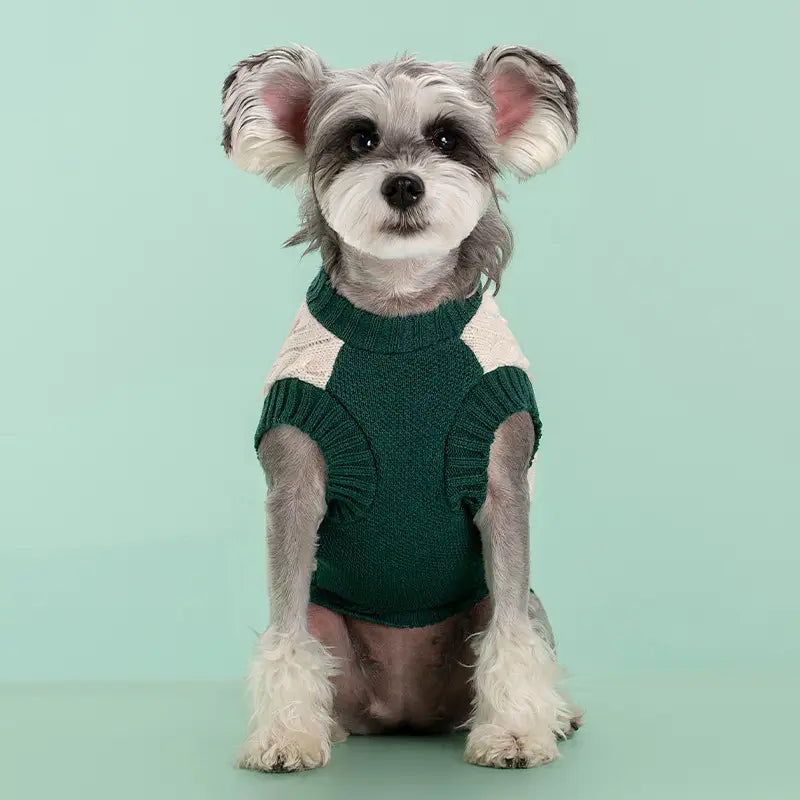 Ein gemütlicher grüner und cremefarbener Zopfmuster-Hundepullover mit gerippten Bündchen, entworfen als warme Schuluniform-Tierbekleidung.