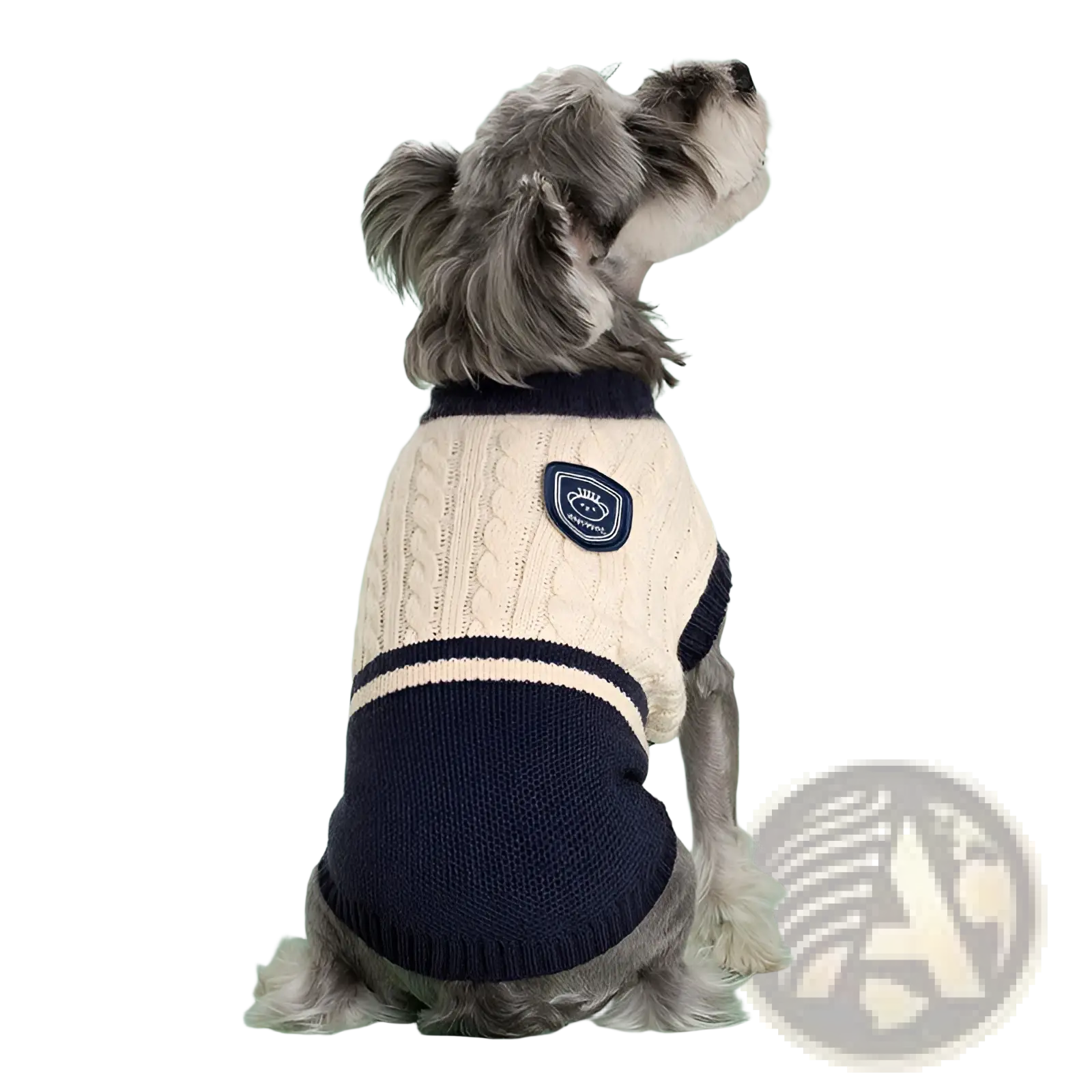 Back side of cream and navy blue cable knit dog sweater with embroidered patch warm school uniform pet apparel