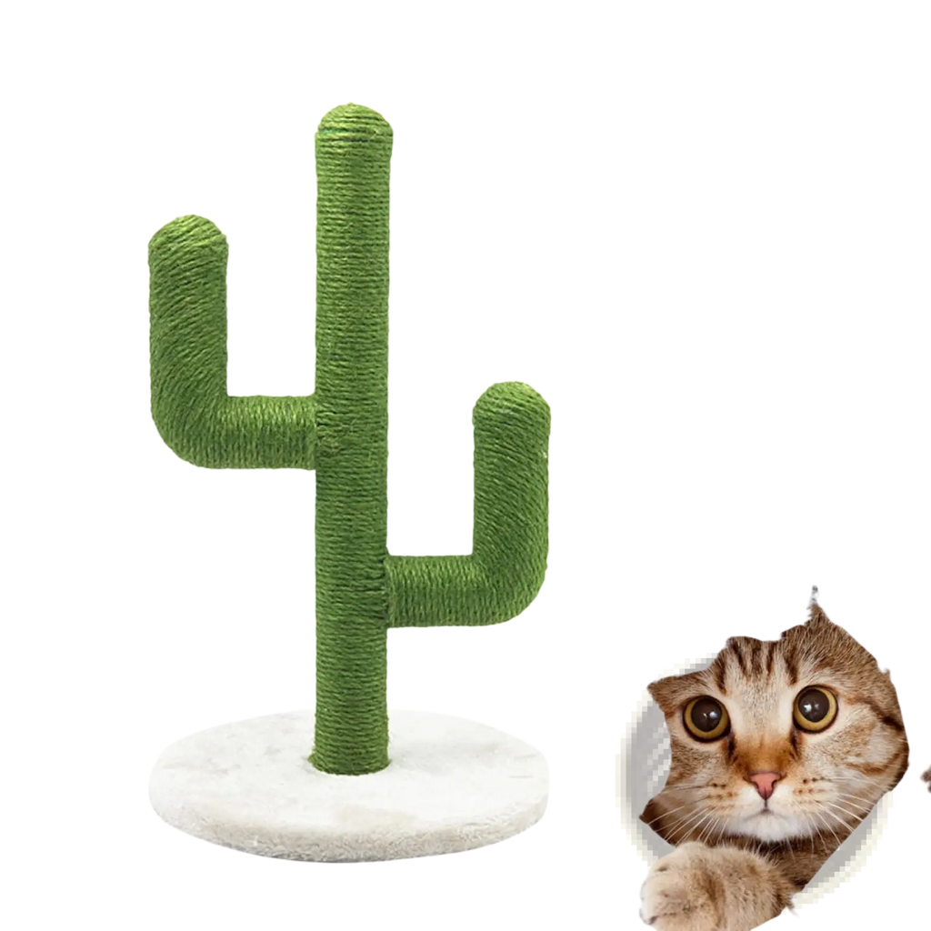 Green cactus-shaped cat scratching post with textured rope-wrapped sisal surface and white circular base for climbing
