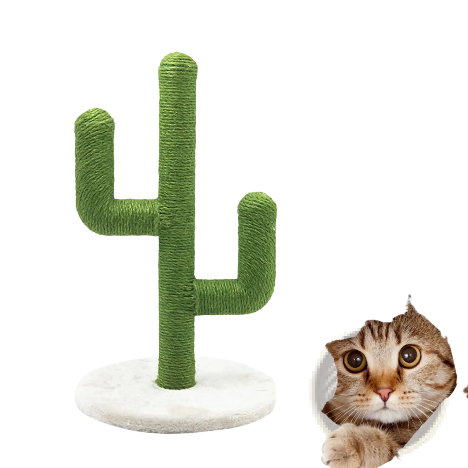 Green cactus-shaped cat scratching post with textured rope-wrapped sisal surface and white circular base for climbing