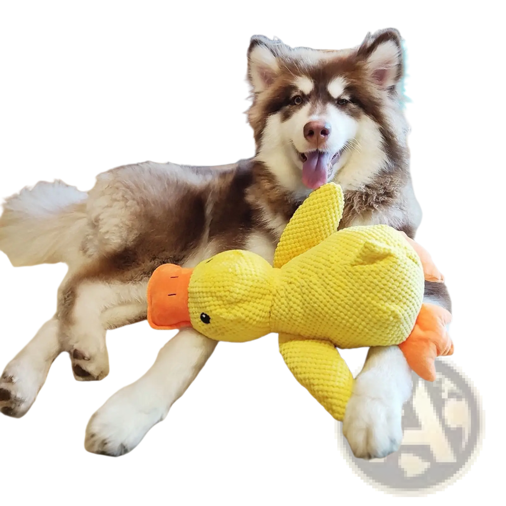 A plush yellow duck toy with orange beak and feet made of textured fabric for dog anxiety relief