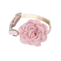 Pink fabric camellia flower adjustable cat collar with beige strap and silver buckle