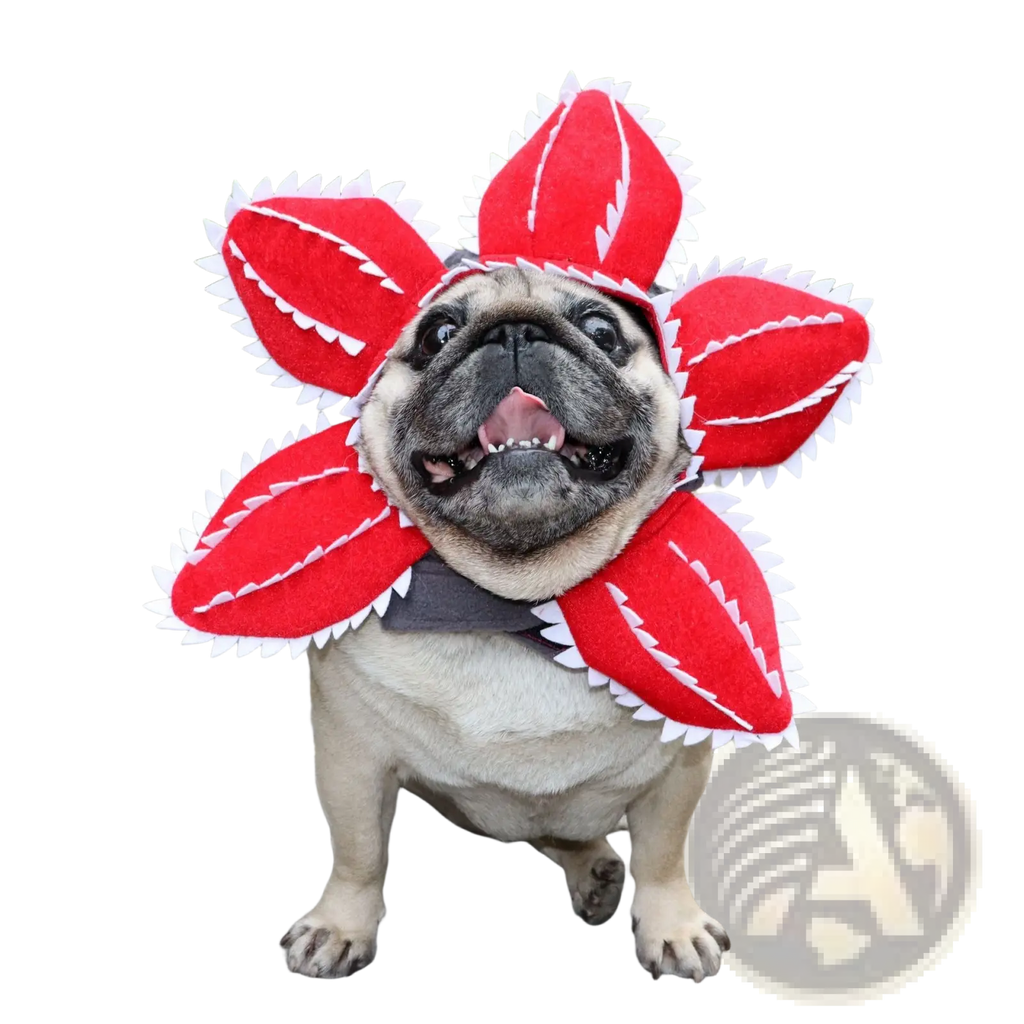 Red plush carnivorous flower dog hat costume with white stitched teeth and gray harness for pets