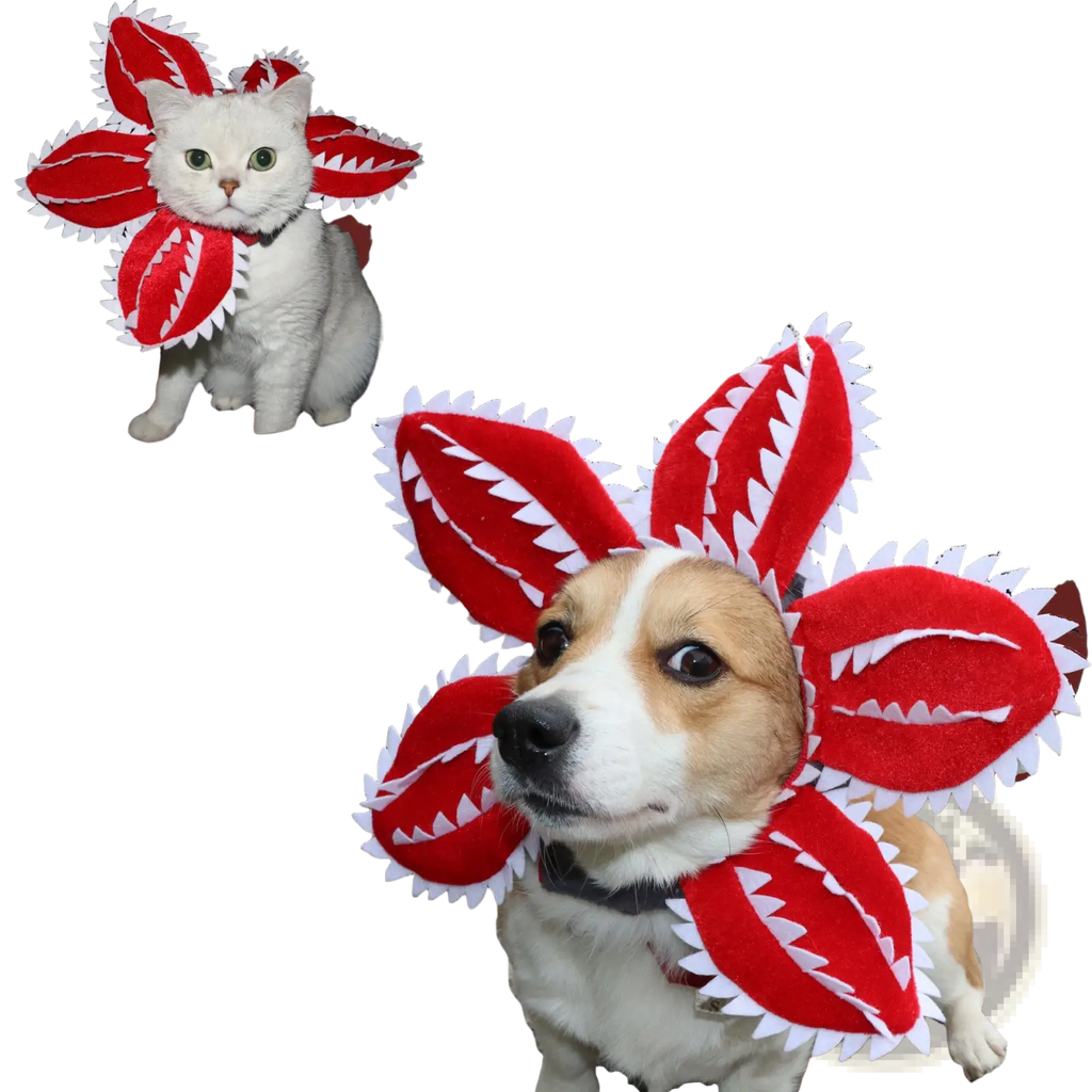 Red and white plush carnivorous flower dog hat costume with jagged toothed edges for pet dress up