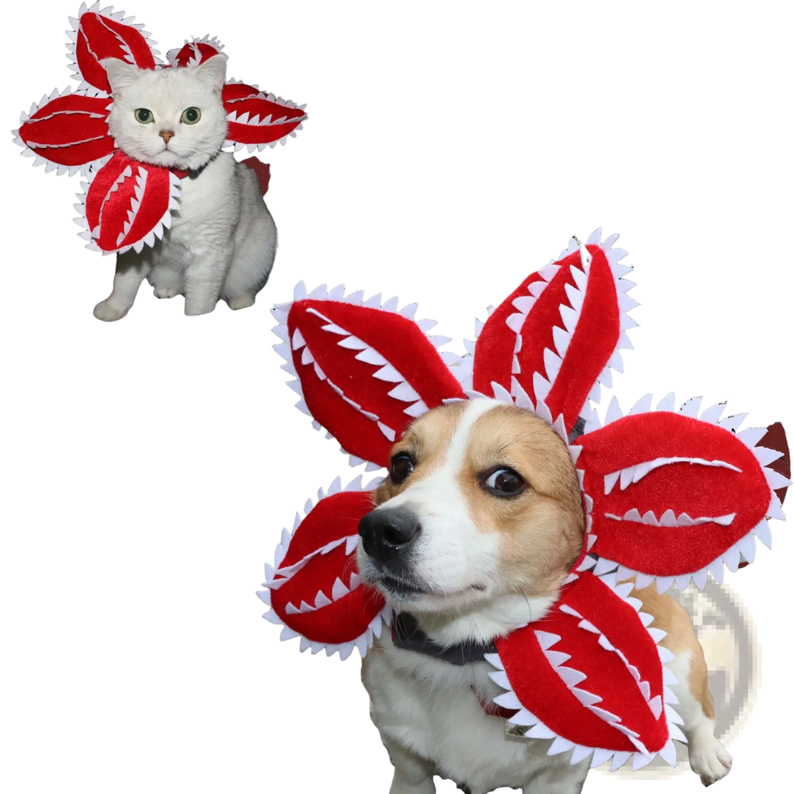 Red and white plush carnivorous flower dog hat costume with jagged toothed edges for pet dress up