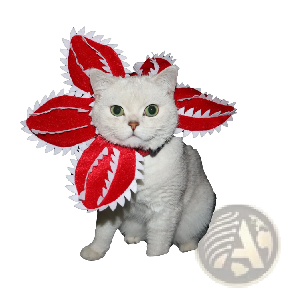 Red and white felt carnivorous flower dog hat plush pet costume designed for cats and small dogs use