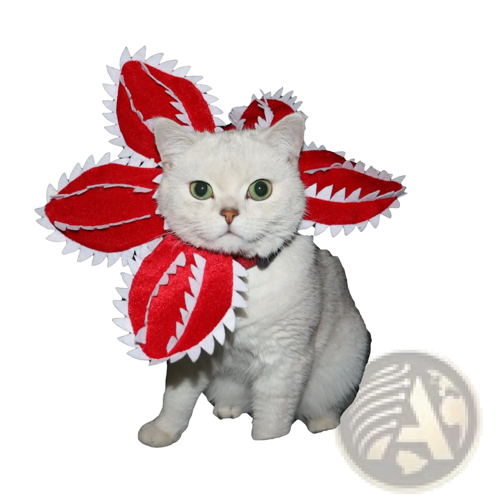 Red and white felt carnivorous flower dog hat plush pet costume designed for cats and small dogs use